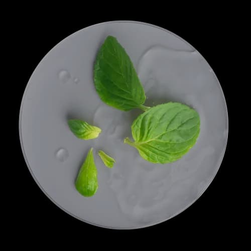 ingredient one