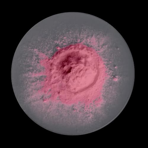 ingredient one