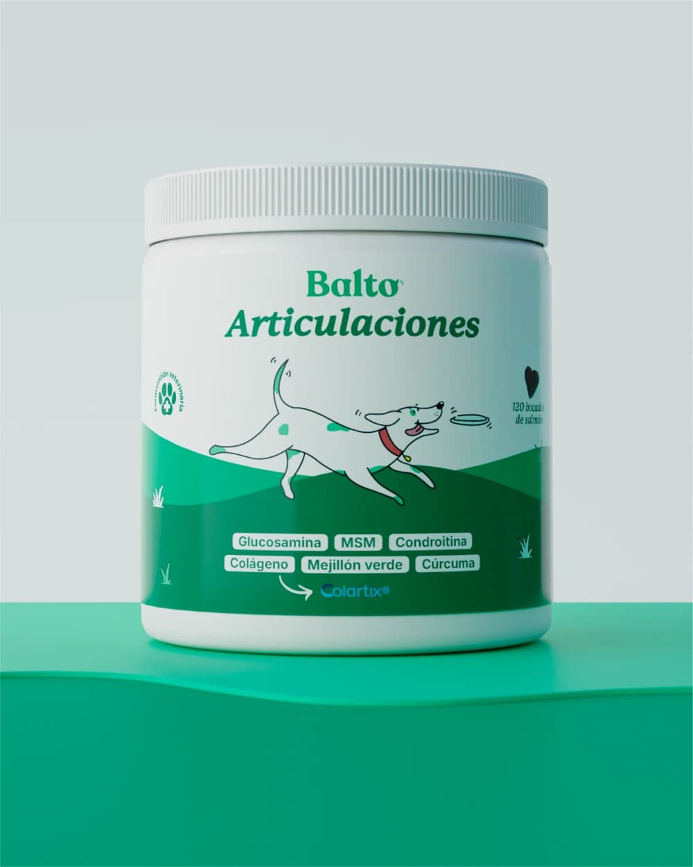 Articulaciones