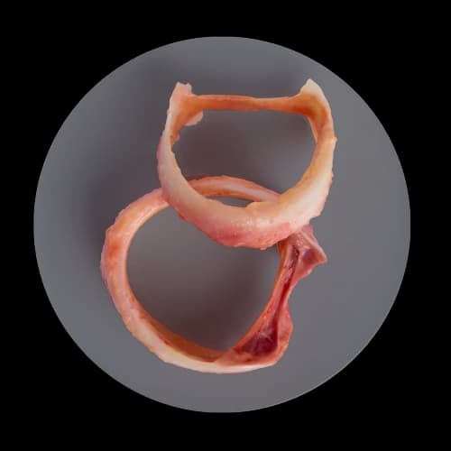 Condroitina image
