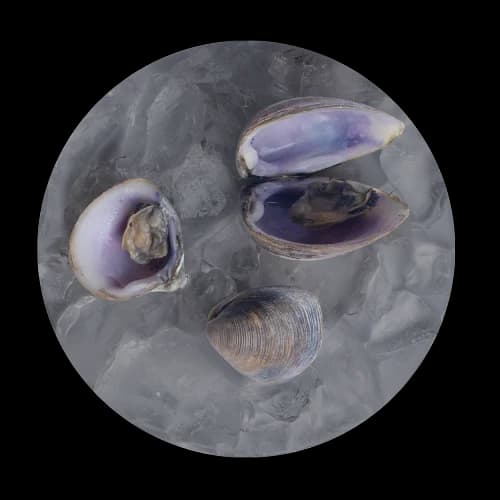 Glucosamina image