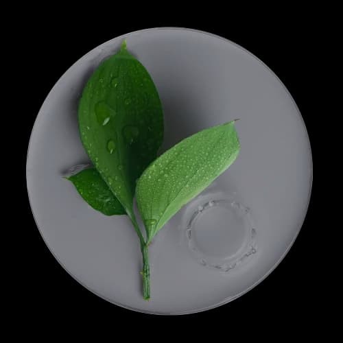 ingredient one