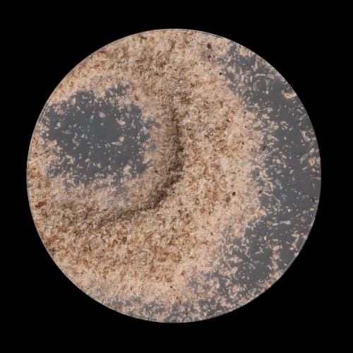 Psyllium image